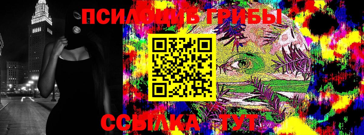 Псилоцибиновые грибы прущие грибы Жигулёвск